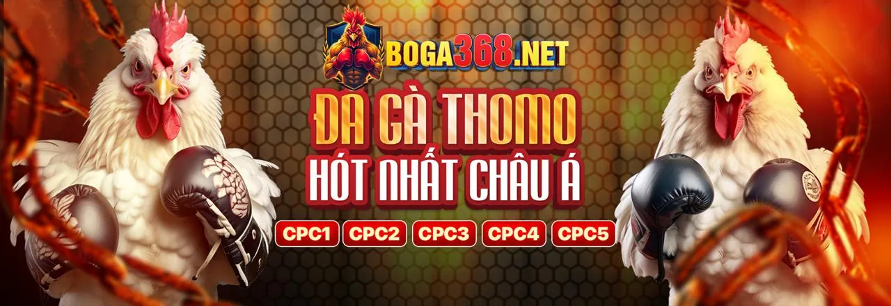 Giao diện cá cược thể thao f186